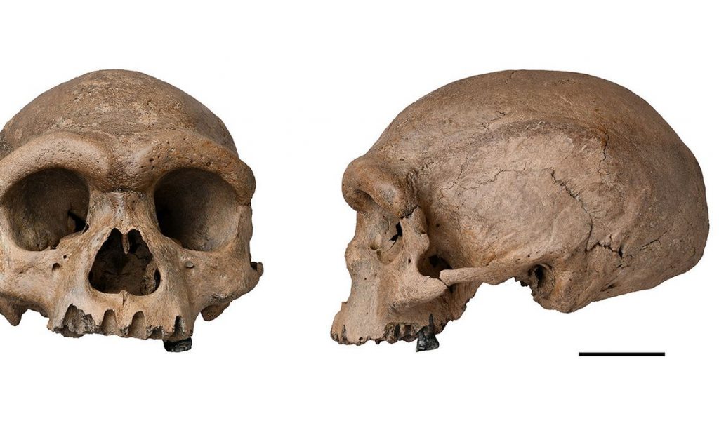 fossil-de-especie-mais-proxima-ao homo-sapiens e-descoberto-na-china