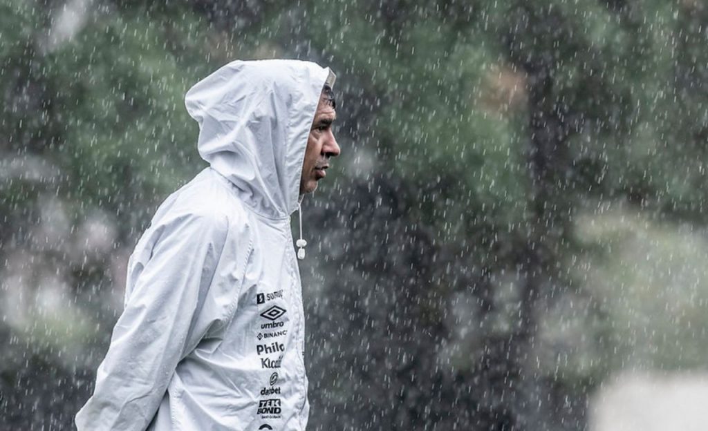 Santos terá Fábio Carille como técnico