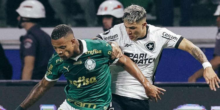 Palmeiras lutou até o fim no duelo contra o Botafogo, pela Copa Libertadores