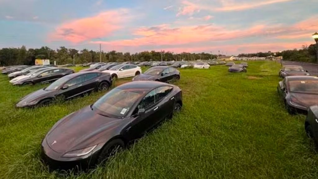 Teslas usados estão se amontoando em terrenos nos Estados Unidos