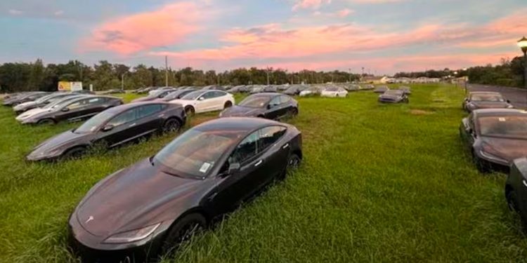 Teslas usados estão se amontoando em terrenos nos Estados Unidos