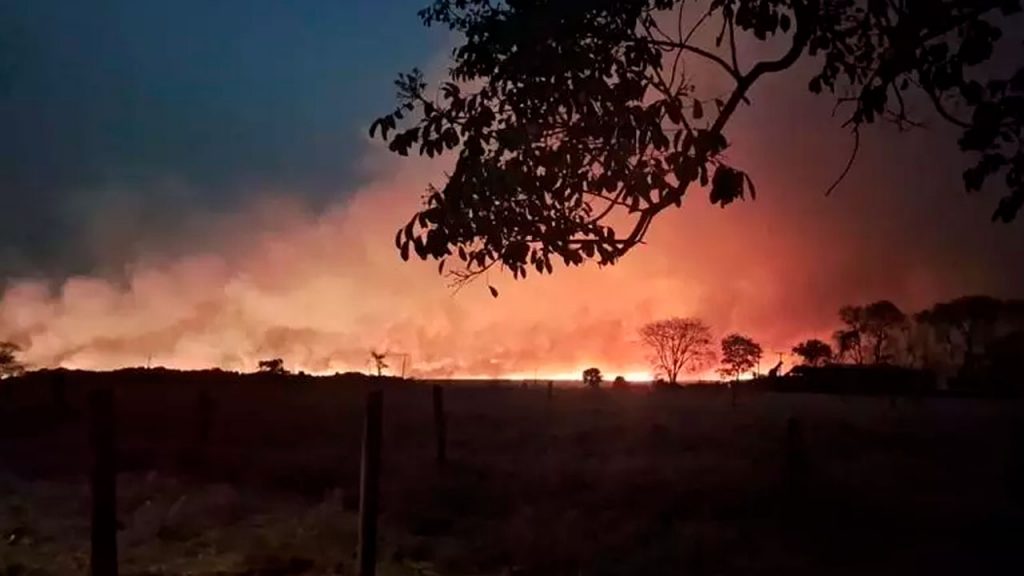 Incêndios em São Paulo devem causa fenômeno conhecido como "chuva negra" em algumas cidades