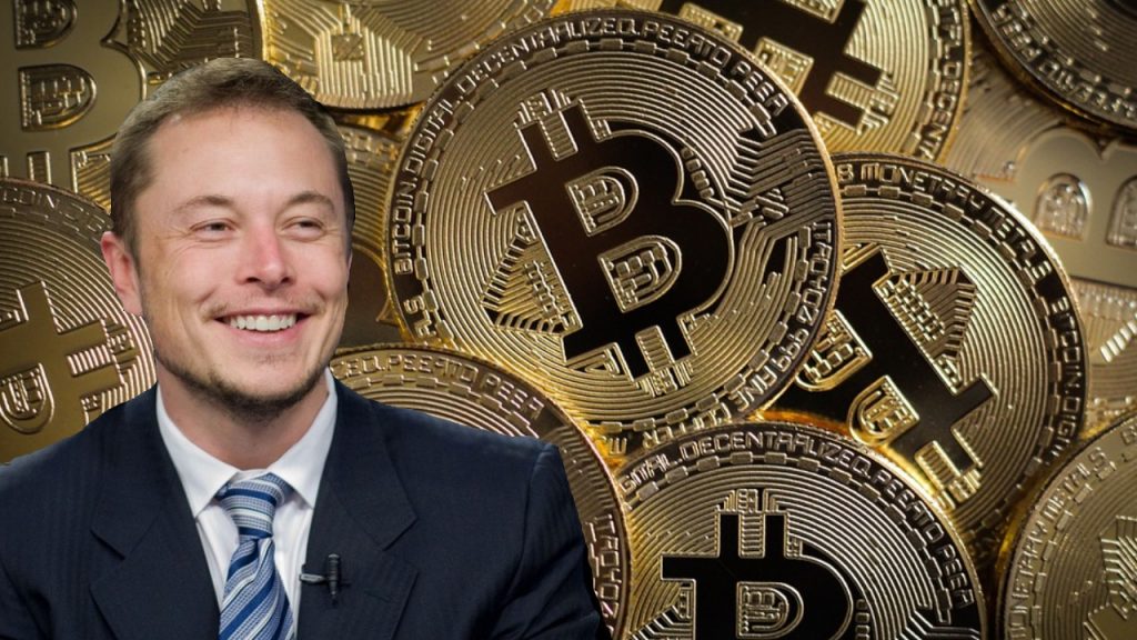 Elon Musk: eu não sou Satoshi!