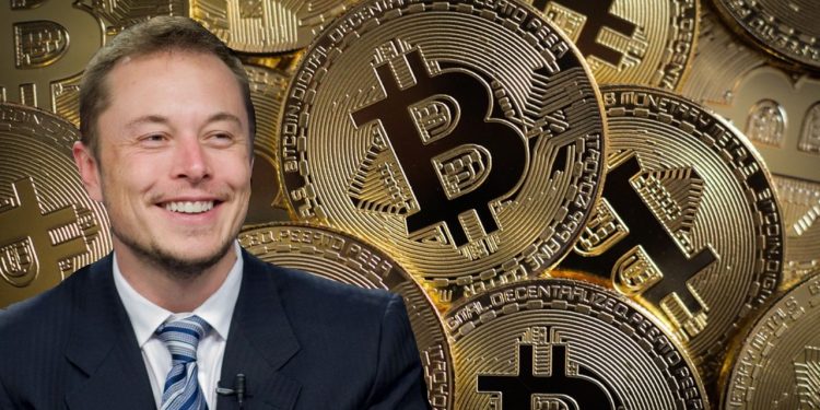 Elon Musk: eu não sou Satoshi!