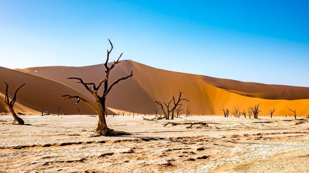 Rara sequência de chuvas no Deserto do Saara formou belas lagoas em áreas secas