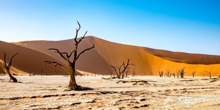 Rara sequência de chuvas no Deserto do Saara formou belas lagoas em áreas secas