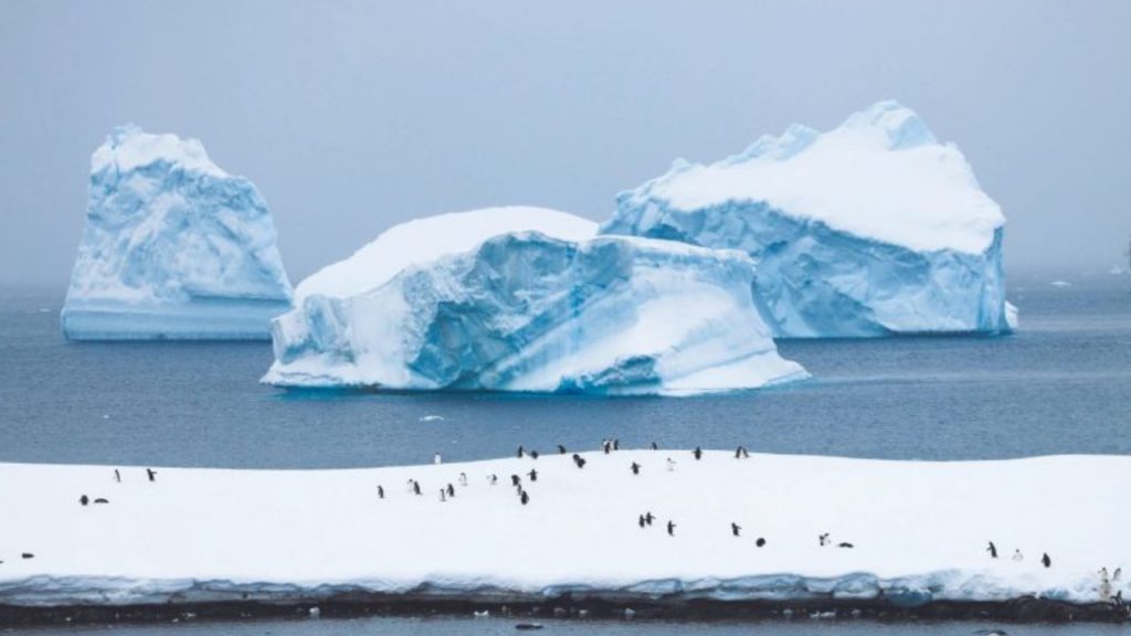 Fragmentos de âmbar foram encontrados na Antártica, revelando um ecossistema tropical do período Cretáceo