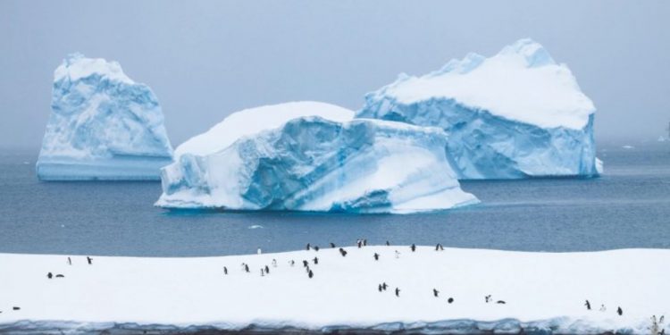 Fragmentos de âmbar foram encontrados na Antártica, revelando um ecossistema tropical do período Cretáceo