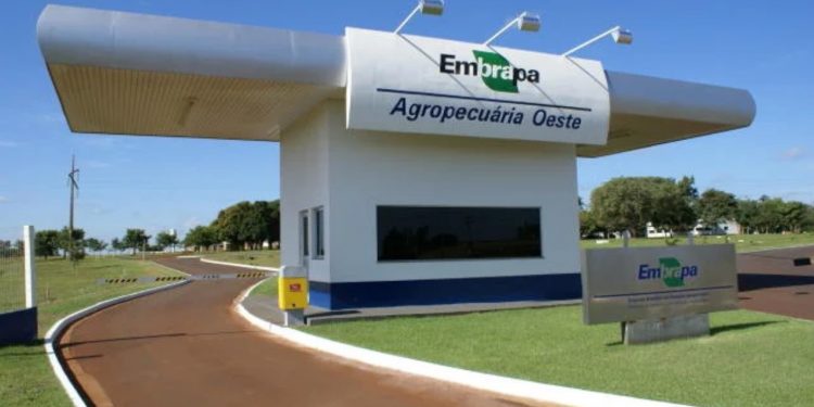 A Embrapa (Empresa Brasileira de Pesquisa Agropecuária) publicou edital com 1.027 vagas para diferentes níveis de escolaridade