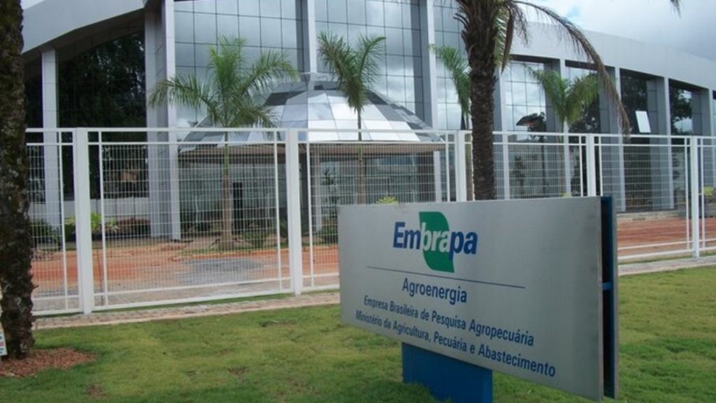 Cebraspe prorroga inscrições para o concurso da Embrapa até 14 de janeiro de 2025